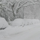 Image for article titled We're All in For a Crazy Winter Thanks to El Niño